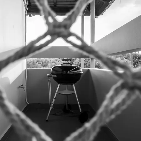 别墅 The View House