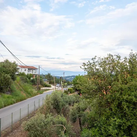The View House Βίλα